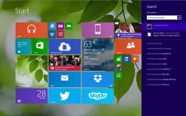 Запустите командную строку от имени администратора в Windows 8.`