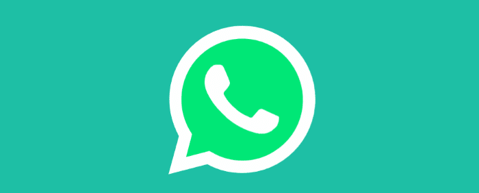 Используйте WhatsApp Desktop без телефона