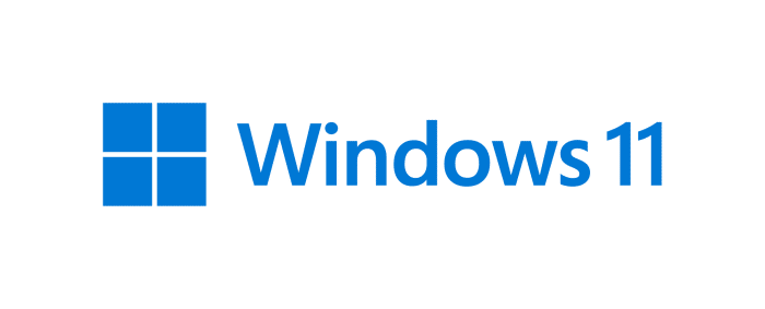 Логотип Windows 11 полный