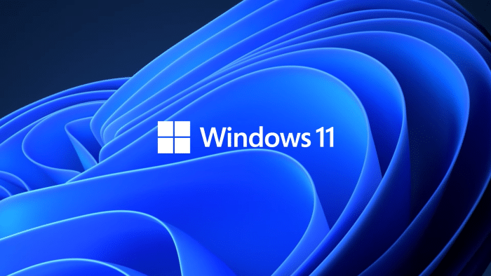 Логотип Windows 111